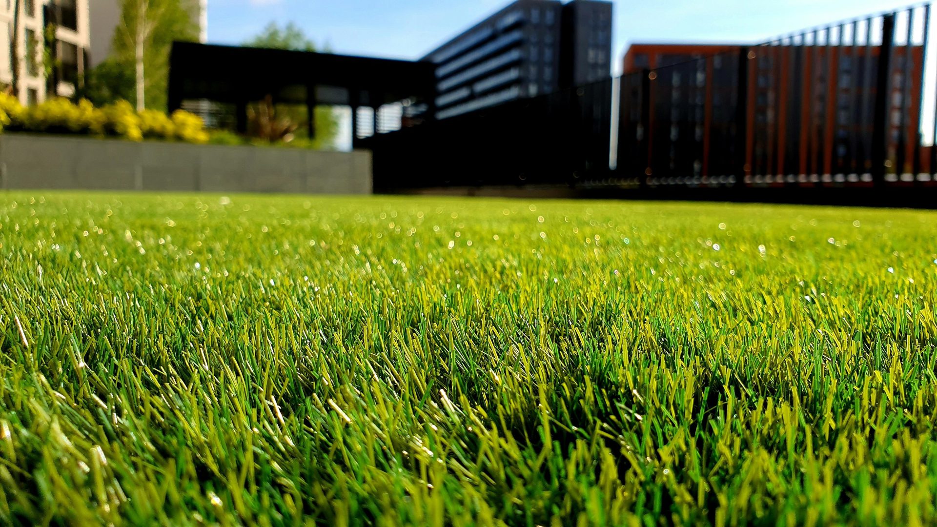 grünes Grasfeld